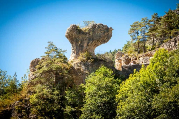 le Soulio, kanoe kayak sur le Tarn